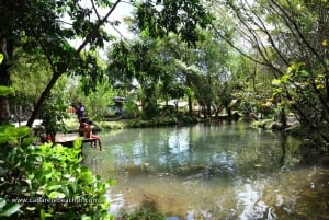 Cabarete Grotten & Natuur Avontuur