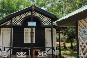 Cano Hondo Natural Pools & Los Haitises-boottocht