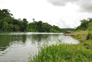 Karibialainen mönkijäretki – Bayahiben viidakko ja safari