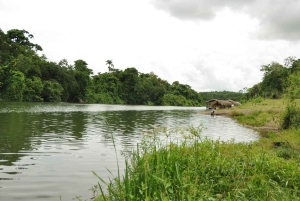 Caribbean Buggy Escape – Bayahibe Jungle & Safari