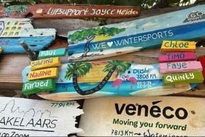 Experiência de arte com madeira flutuante caribenha em Puerto Plata