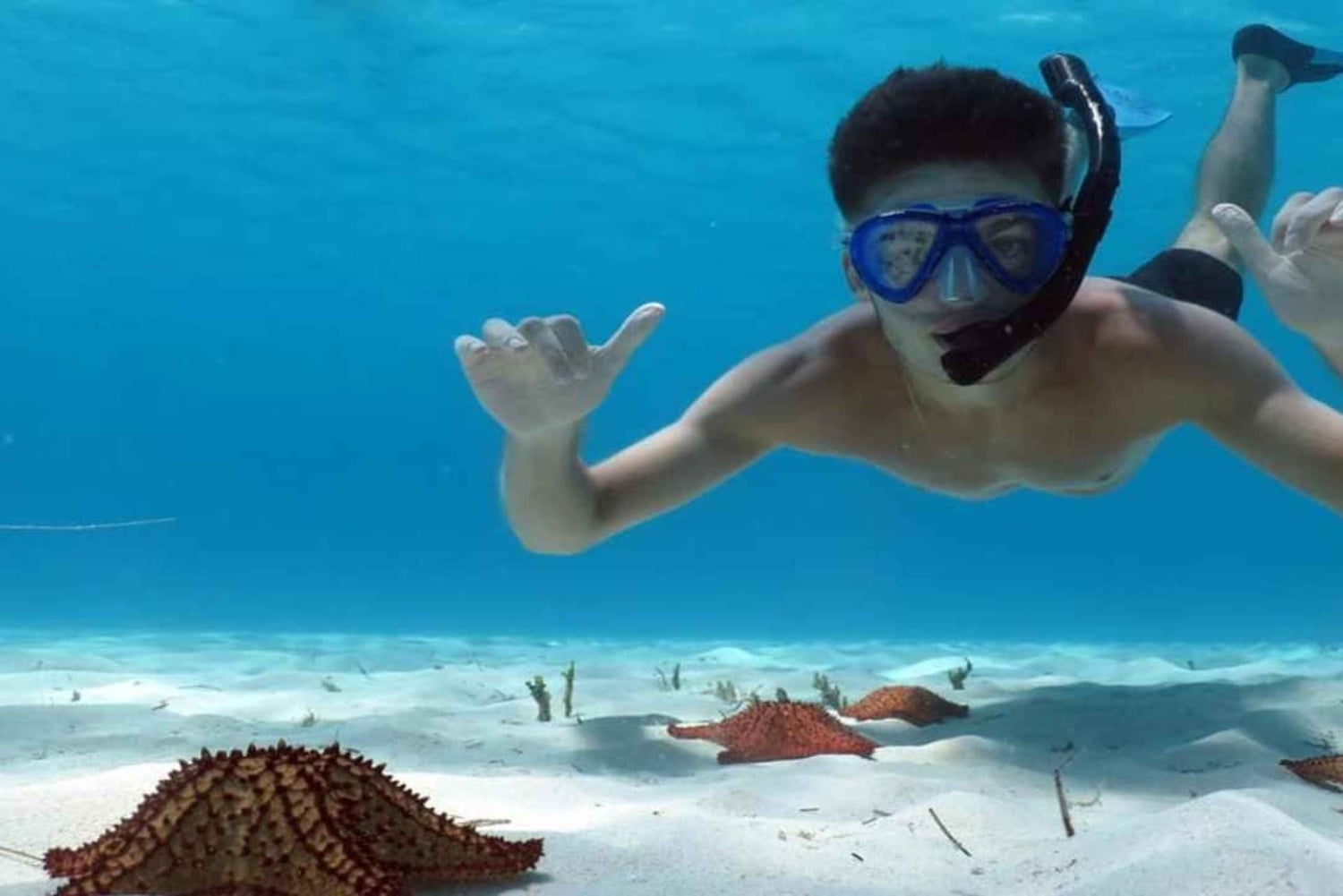 Carnevial-excursie aan wal: Saona-eiland met speedboot