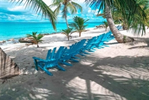 Carnevial-excursie aan wal: Saona-eiland met speedboot