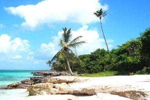 Carnevial-excursie aan wal: Saona-eiland met speedboot