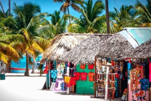 Carnevial-excursie aan wal: Saona-eiland met speedboot