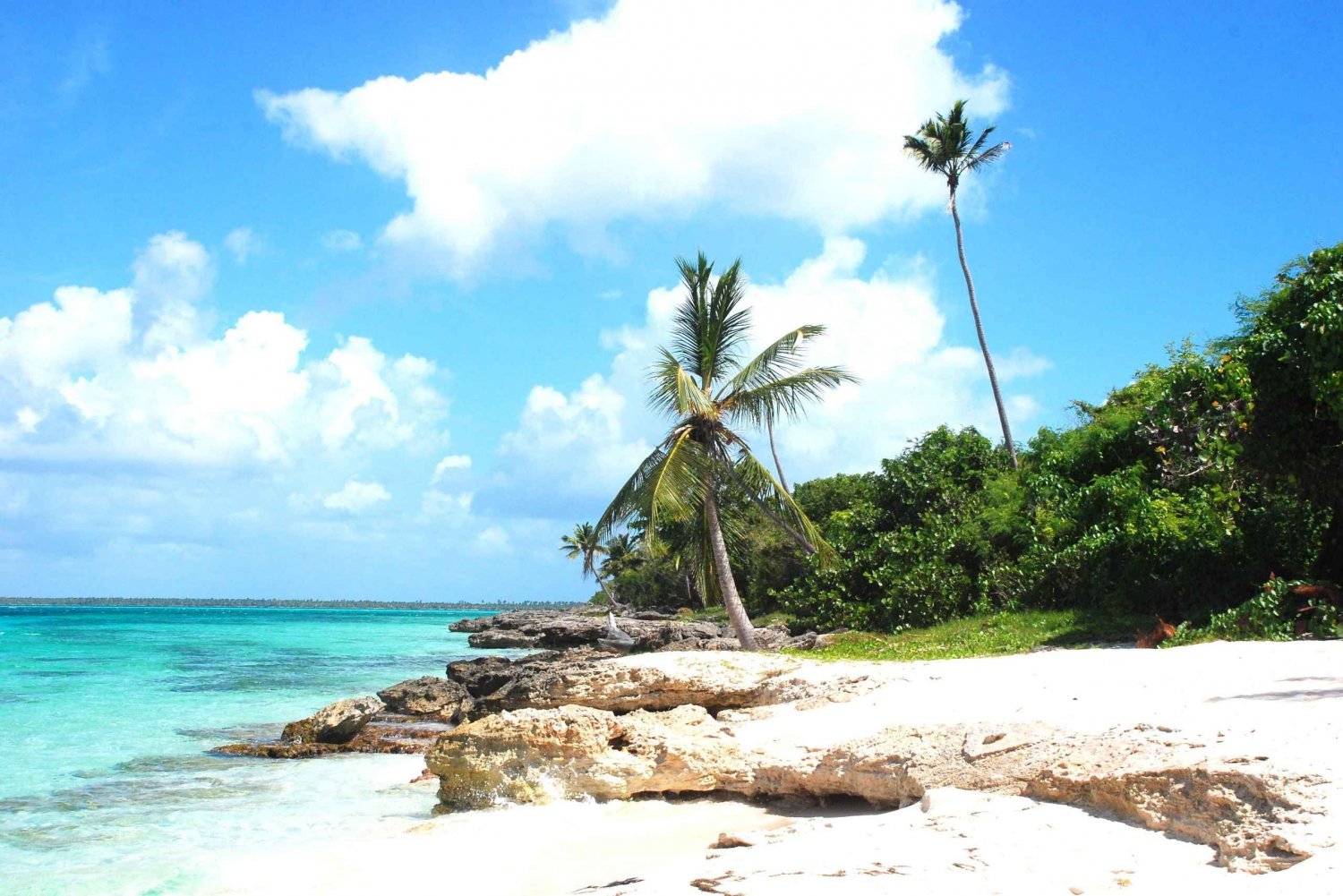 Carnevial Shore Excursion : Saona Island