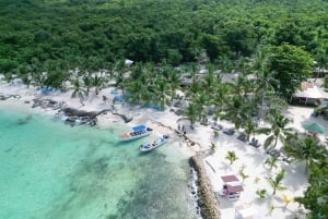 Punta Cana: Halvdags øko-tur til Saona Island – lille gruppe