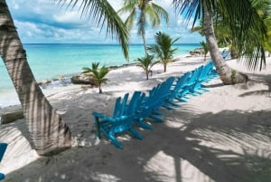 Punta Cana: Halvdags øko-tur til Saona Island – lille gruppe