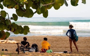 Carolina Surf School