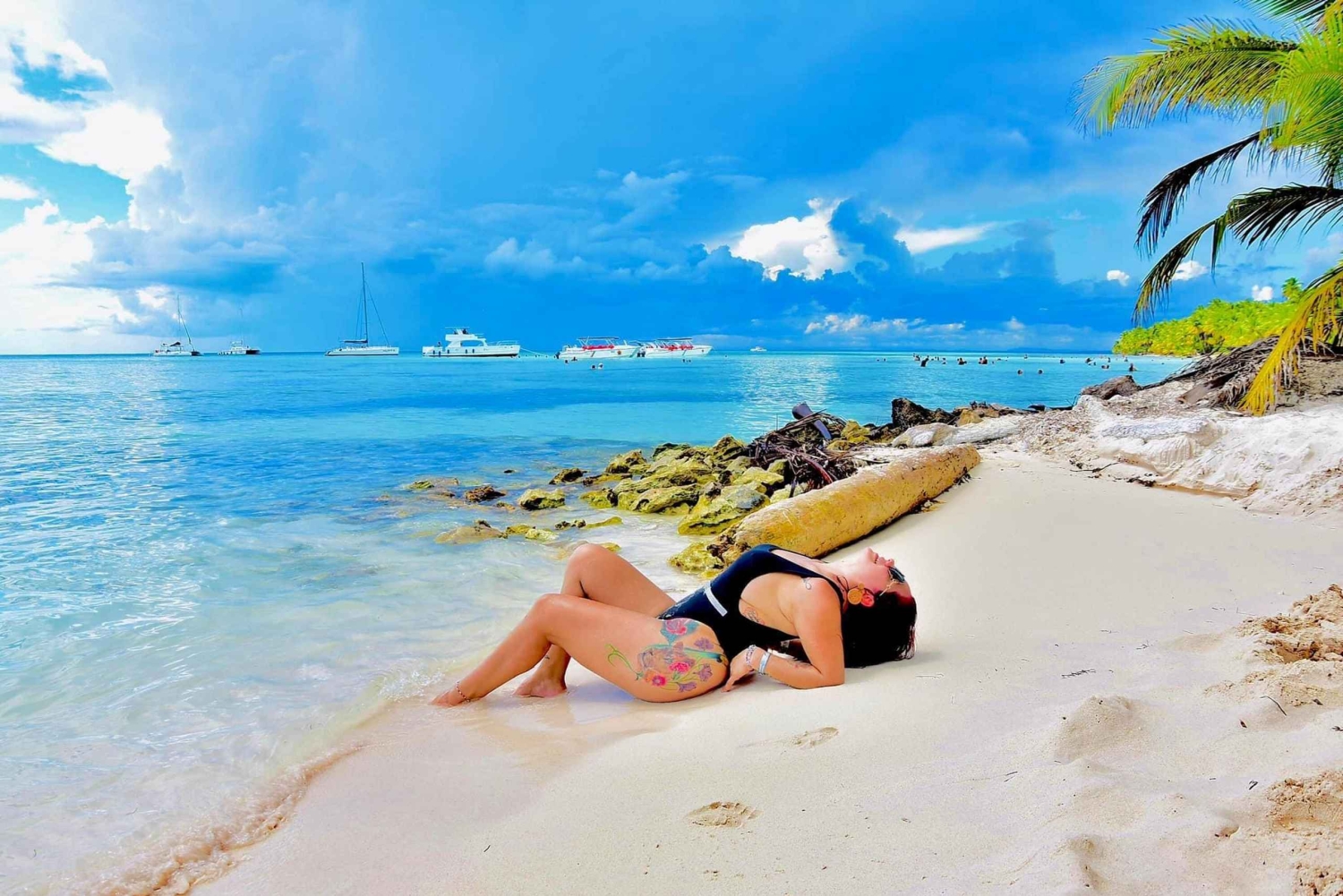 Catalinan saari: Risteily, snorklausta, avoin buffet ja juomat