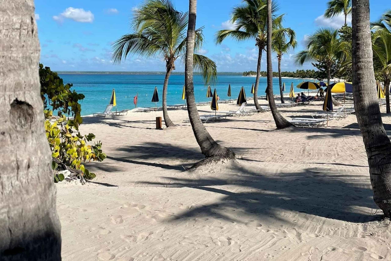 Catalinan saari: Risteily, snorklausta, avoin buffet ja juomat