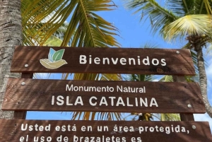 Catalinan saari: Risteily, snorklausta, avoin buffet ja juomat