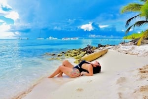 Catalinan saari: Risteily, snorklausta, avoin buffet ja juomat