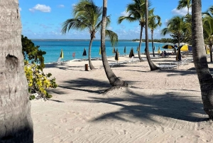 Catalinan saari: Risteily, snorklausta, avoin buffet ja juomat