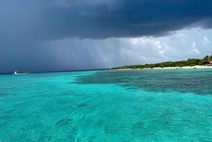 Catalinan saari: Risteily, snorklausta, avoin buffet ja juomat