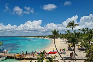 Catalinan saari: Risteily, snorklausta, avoin buffet ja juomat