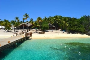 Catalinan saari: Risteily, snorklausta, avoin buffet ja juomat