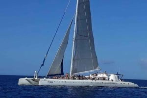 Catalina Island : Excursion d'une journée - Meilleure plongée avec tuba !