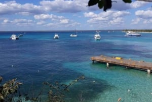 Isola di Catalina: Escursione di un giorno - Il miglior snorkeling!