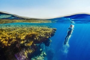 Isla Catalina – enda mer uberørt enn Saona