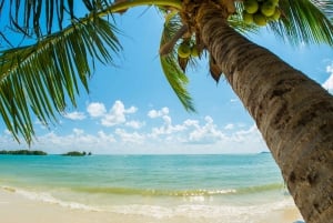 Isla Catalina – enda mer uberørt enn Saona