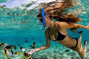 Catalina Island Full-Day Snorkeling + Lunch from Punta Cana