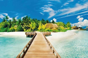 Catalina Island Full-Day Snorkeling + Lunch from Punta Cana