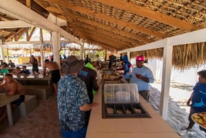 Excursión a la Isla Catalina: Barco, estancia en la playa, comida y bebidas gratis