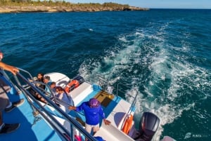 Catalina Island Tour: Boat, Beach Stay, Lunch & Free Drinks