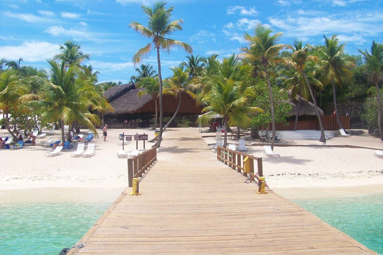 Excursão à Ilha Catalina com mergulho com snorkel e almoço