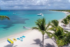 Excursão à Ilha Catalina com mergulho com snorkel e almoço