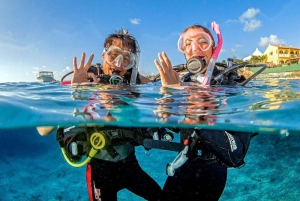 Tour naar Catalina Island met snorkelen en lunch