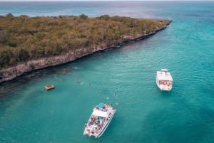 Catalina Island med snorkling, åpen bar og lunsj