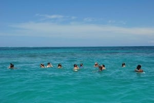 Punta Cana: Fiesta en catamarán con barra libre y aperitivos