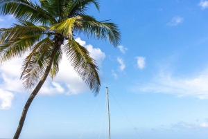 Catamaran Sailing & Snorkeling Experience in Punta Cana