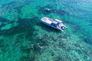 Catamaran Sailing & Snorkeling Experience in Punta Cana