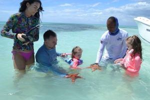 Catamaran Sailing & Snorkeling Experience in Punta Cana