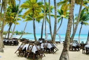 Katamaran Tour zur Insel Saona mit tropischem Mittagsbuffet