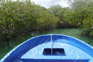 Cayo Arena & Mangroves Tour with Snorkeling & Food