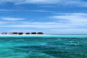 Cayo Arena & Mangroves Tour with Snorkeling & Food