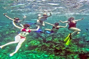 Cayo Arena & Mangroves Tour with Snorkeling & Food