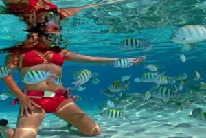 Cayo Arena & Mangroves Tour with Snorkeling & Food