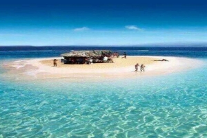 Cayo Arena & Mangroves Tour with Snorkeling & Food