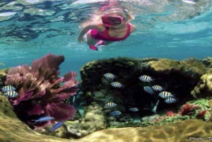 Cayo Arena & Mangroves Tour with Snorkeling & Food