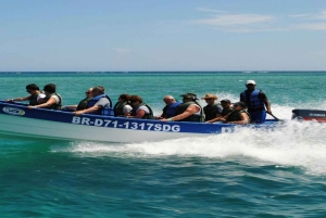 Cayo Arena & Mangroves Tour with Snorkeling & Food