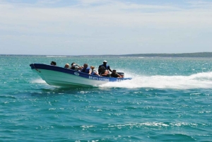 Cayo Arena & Mangroves Tour with Snorkeling & Food