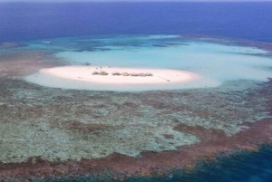 Cayo Arena & Mangroves Tour with Snorkeling & Food