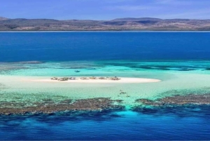 Cayo Arena & Mangroves Tour with Snorkeling & Food