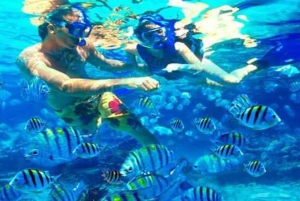 Cayo Arena & Mangroves Tour with Snorkeling & Food