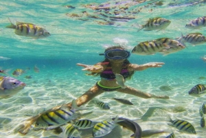 Cayo Arena & Mangroves Tour with Snorkeling & Food